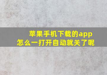 苹果手机下载的app怎么一打开自动就关了呢