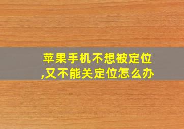 苹果手机不想被定位,又不能关定位怎么办