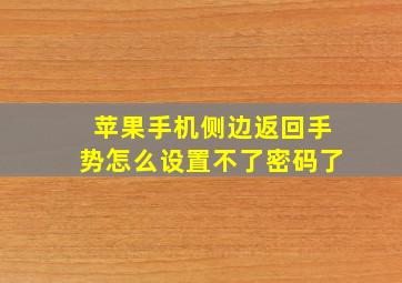 苹果手机侧边返回手势怎么设置不了密码了