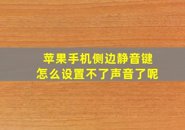 苹果手机侧边静音键怎么设置不了声音了呢