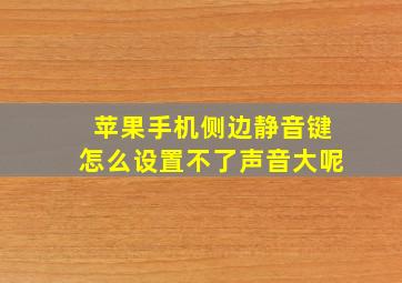 苹果手机侧边静音键怎么设置不了声音大呢