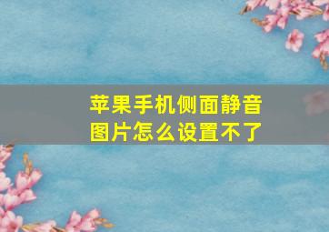 苹果手机侧面静音图片怎么设置不了