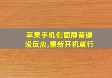 苹果手机侧面静音键没反应,重新开机就行