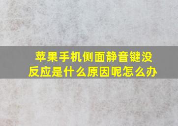 苹果手机侧面静音键没反应是什么原因呢怎么办