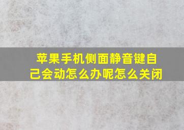 苹果手机侧面静音键自己会动怎么办呢怎么关闭