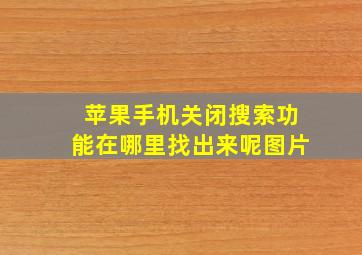 苹果手机关闭搜索功能在哪里找出来呢图片