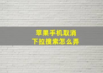 苹果手机取消下拉搜索怎么弄