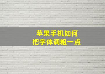 苹果手机如何把字体调粗一点