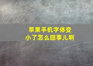 苹果手机字体变小了怎么回事儿啊