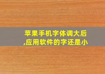 苹果手机字体调大后,应用软件的字还是小