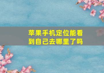 苹果手机定位能看到自己去哪里了吗