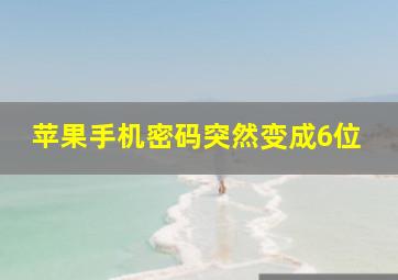 苹果手机密码突然变成6位