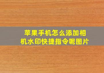 苹果手机怎么添加相机水印快捷指令呢图片