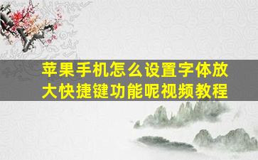 苹果手机怎么设置字体放大快捷键功能呢视频教程