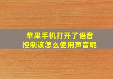 苹果手机打开了语音控制该怎么使用声音呢