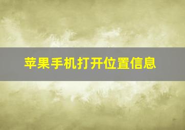 苹果手机打开位置信息