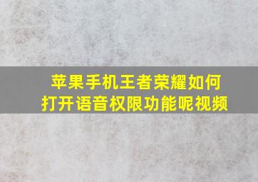 苹果手机王者荣耀如何打开语音权限功能呢视频