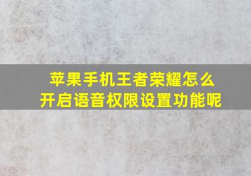 苹果手机王者荣耀怎么开启语音权限设置功能呢