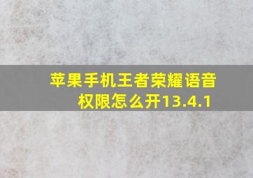 苹果手机王者荣耀语音权限怎么开13.4.1