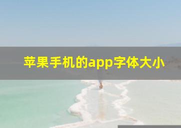 苹果手机的app字体大小