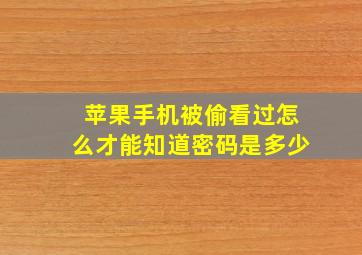 苹果手机被偷看过怎么才能知道密码是多少