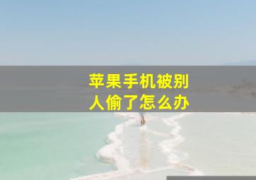 苹果手机被别人偷了怎么办