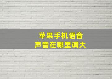 苹果手机语音声音在哪里调大