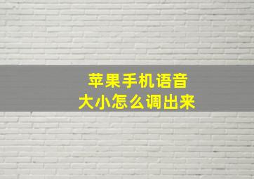 苹果手机语音大小怎么调出来