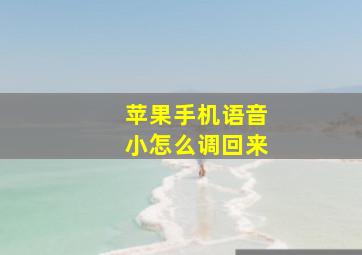 苹果手机语音小怎么调回来