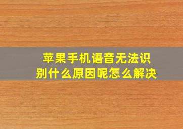 苹果手机语音无法识别什么原因呢怎么解决