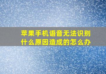 苹果手机语音无法识别什么原因造成的怎么办