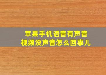 苹果手机语音有声音视频没声音怎么回事儿