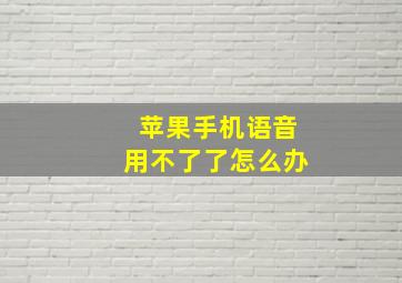 苹果手机语音用不了了怎么办