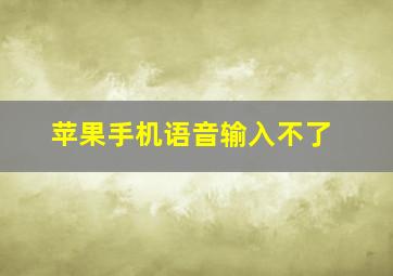 苹果手机语音输入不了