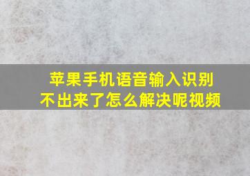 苹果手机语音输入识别不出来了怎么解决呢视频