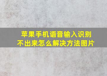 苹果手机语音输入识别不出来怎么解决方法图片