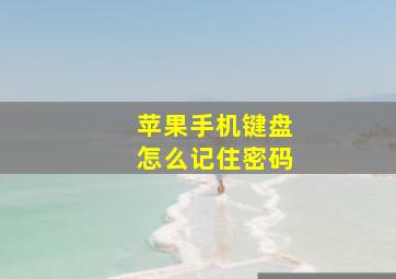 苹果手机键盘怎么记住密码