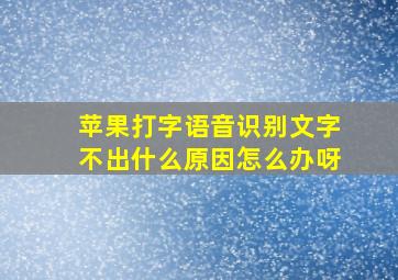 苹果打字语音识别文字不出什么原因怎么办呀