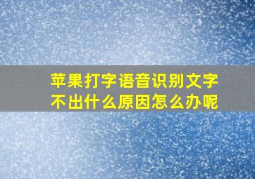 苹果打字语音识别文字不出什么原因怎么办呢