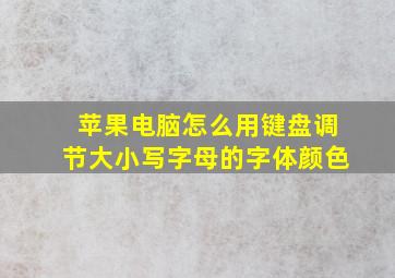 苹果电脑怎么用键盘调节大小写字母的字体颜色