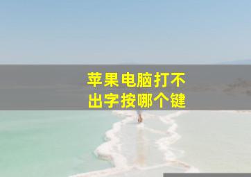 苹果电脑打不出字按哪个键