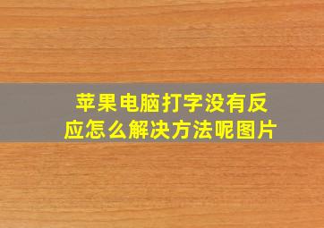 苹果电脑打字没有反应怎么解决方法呢图片