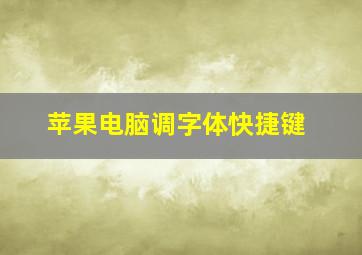 苹果电脑调字体快捷键