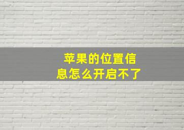 苹果的位置信息怎么开启不了