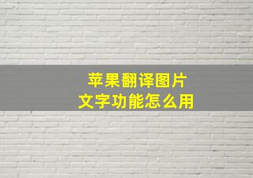 苹果翻译图片文字功能怎么用