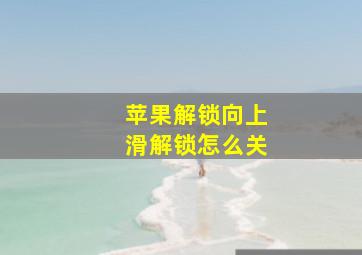 苹果解锁向上滑解锁怎么关