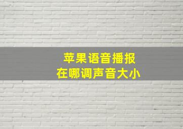 苹果语音播报在哪调声音大小