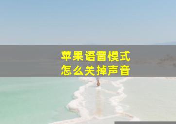 苹果语音模式怎么关掉声音