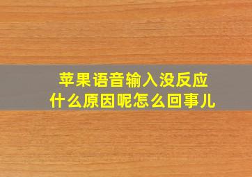 苹果语音输入没反应什么原因呢怎么回事儿