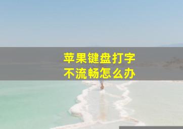 苹果键盘打字不流畅怎么办